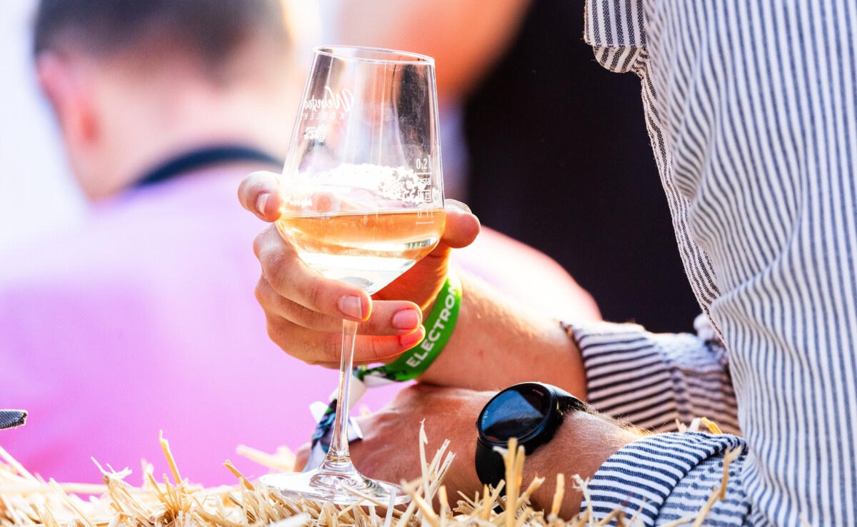 Winzerbetriebe Electronic Wine © Koblenz-Touristik GmbH, Janko.Media Mann mit Weinglas in der Hand bei der Veranstaltung Electronic Wine 2023 © Koblenz-Touristik GmbH, Janko.Media